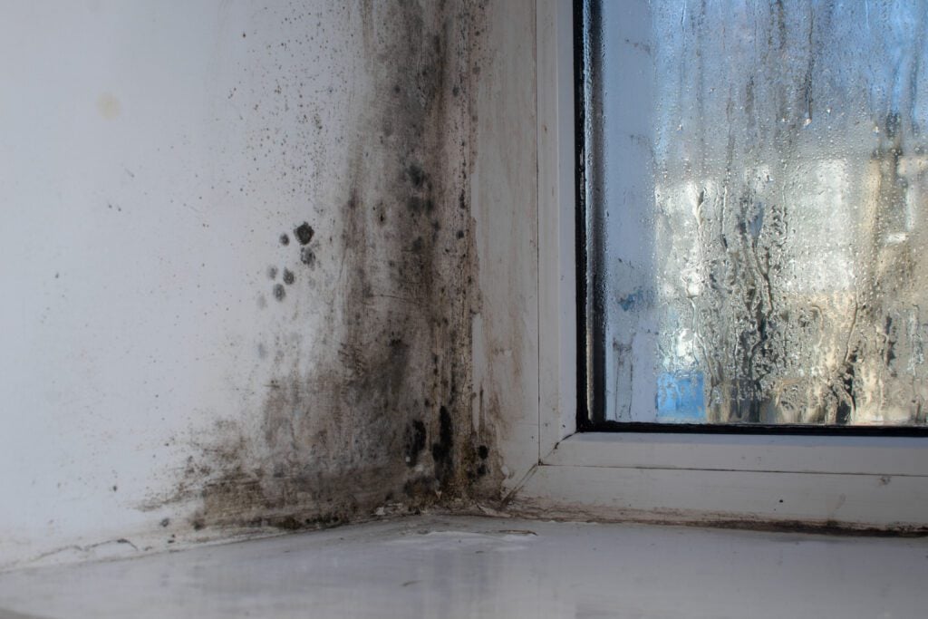 mold on a wet window due to humidity