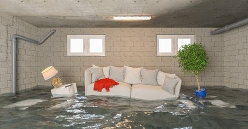 basement flooded what to do
