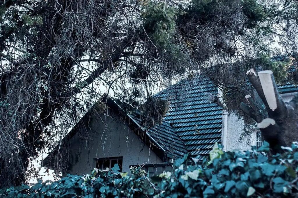 a house with a fallen tree on it needing storm damage restoration