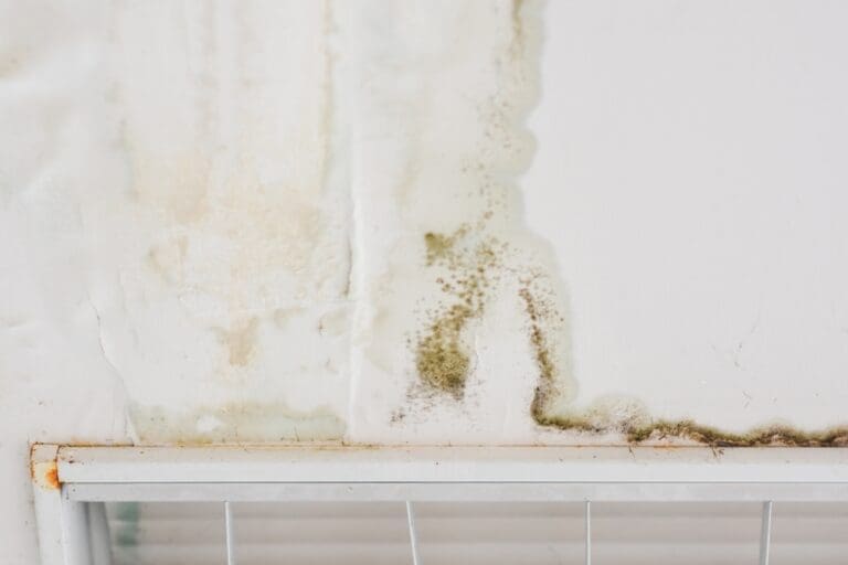 Water,Marks,On,The,Ceiling Mold After Water Damage: Prevention & Next Steps for Atlanta Homeowners