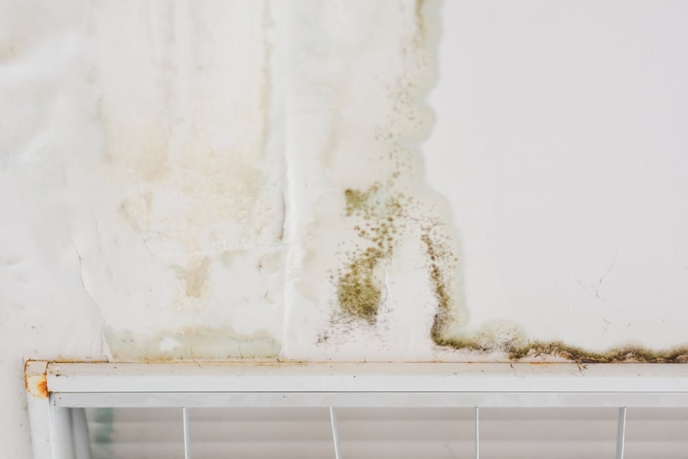 Water,Marks,On,The,Ceiling Mold After Water Damage: Prevention & Next Steps for Atlanta Homeowners
